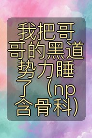 我把哥哥的黑道势力睡了（np 含骨科）封面