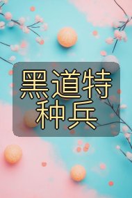 黑道特种兵封面