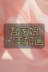 吾家娘子美如画封面