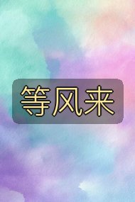 等风来封面