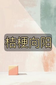 桔梗向阳封面