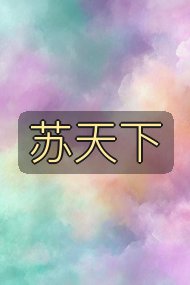 苏天下封面